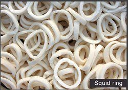 squid ring 